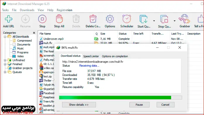 Internet Download Manager Free for PC